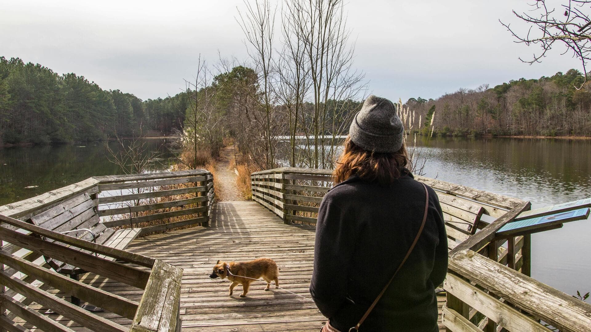 Easy nature trails to refresh your mind and mood