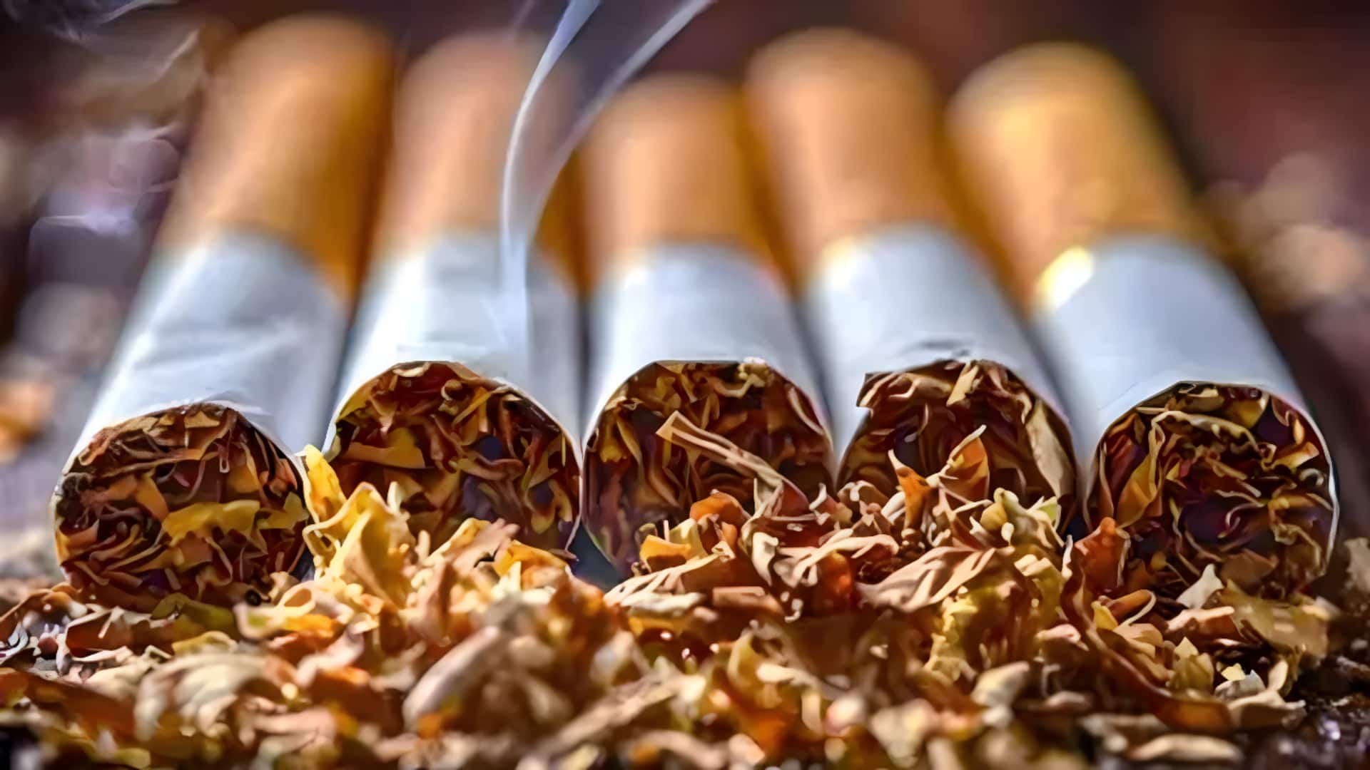 India proposes new cess structure on pan masala, tobacco products
