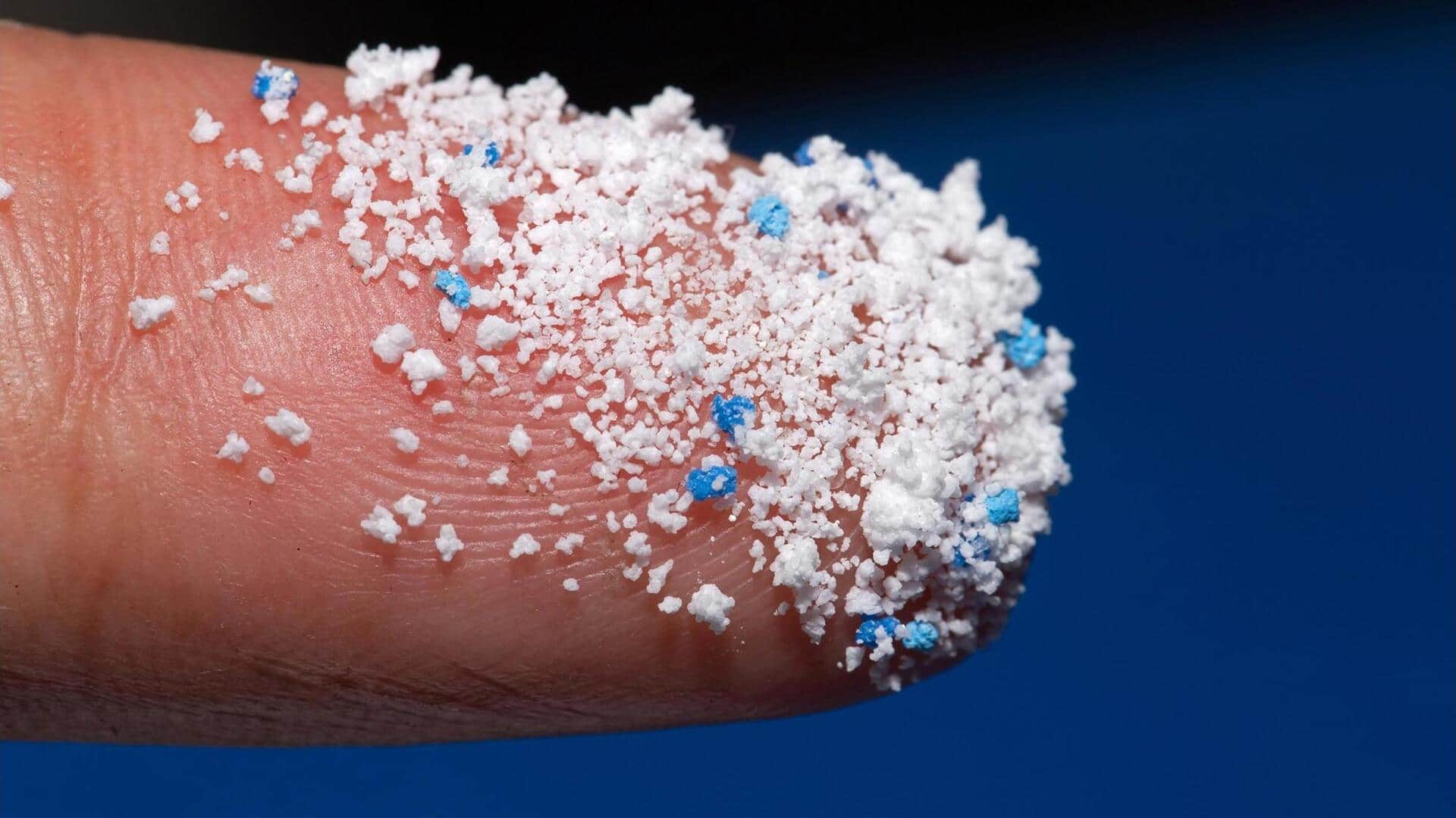How microplastics are affecting our mind and body