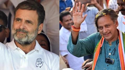 Shashi Tharoor meets Rahul Gandhi, Mallikarjun Kharge amid rift rumors 