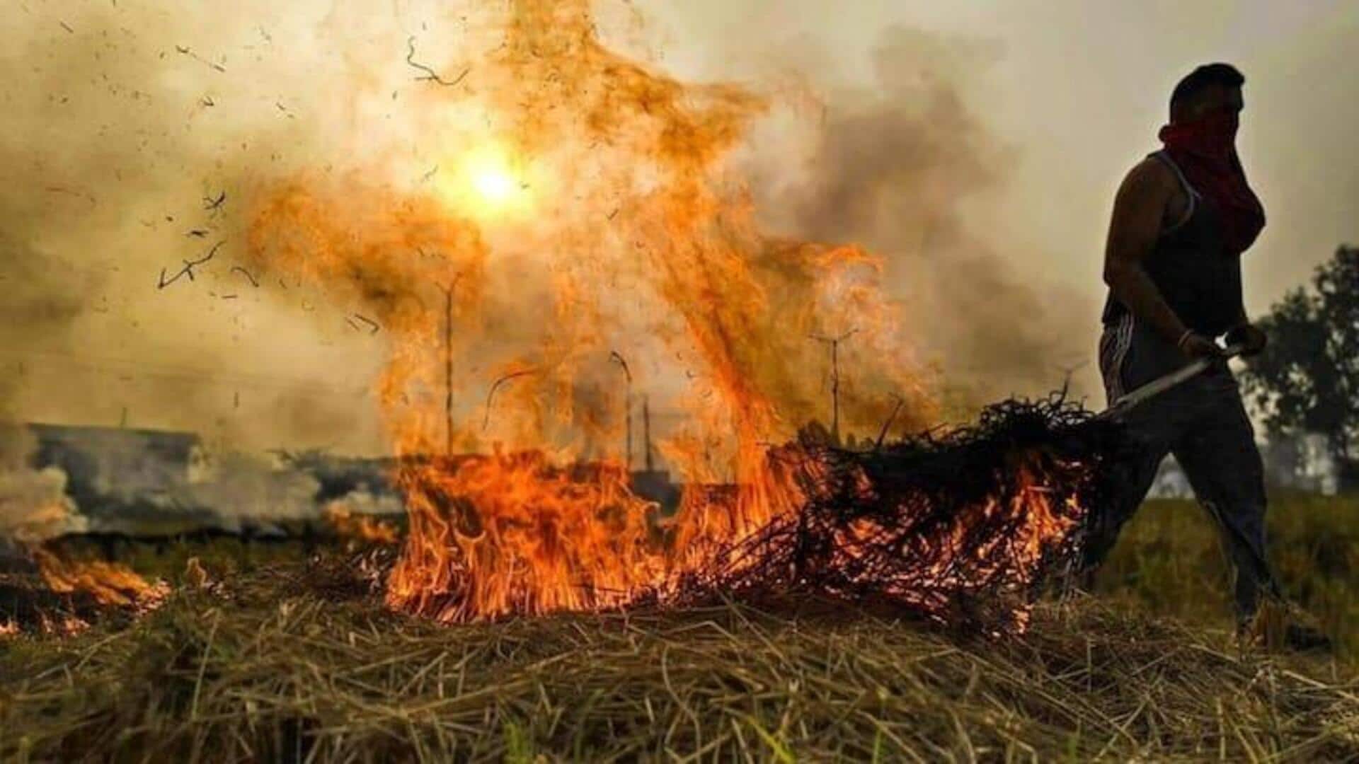Supreme Court asks Punjab, Haryana about action on stubble burning 