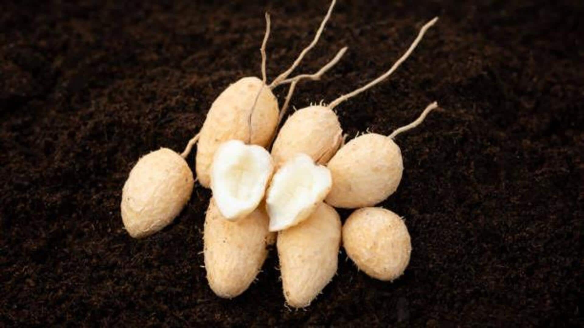 Leren root: Nutrition, culinary uses, and more