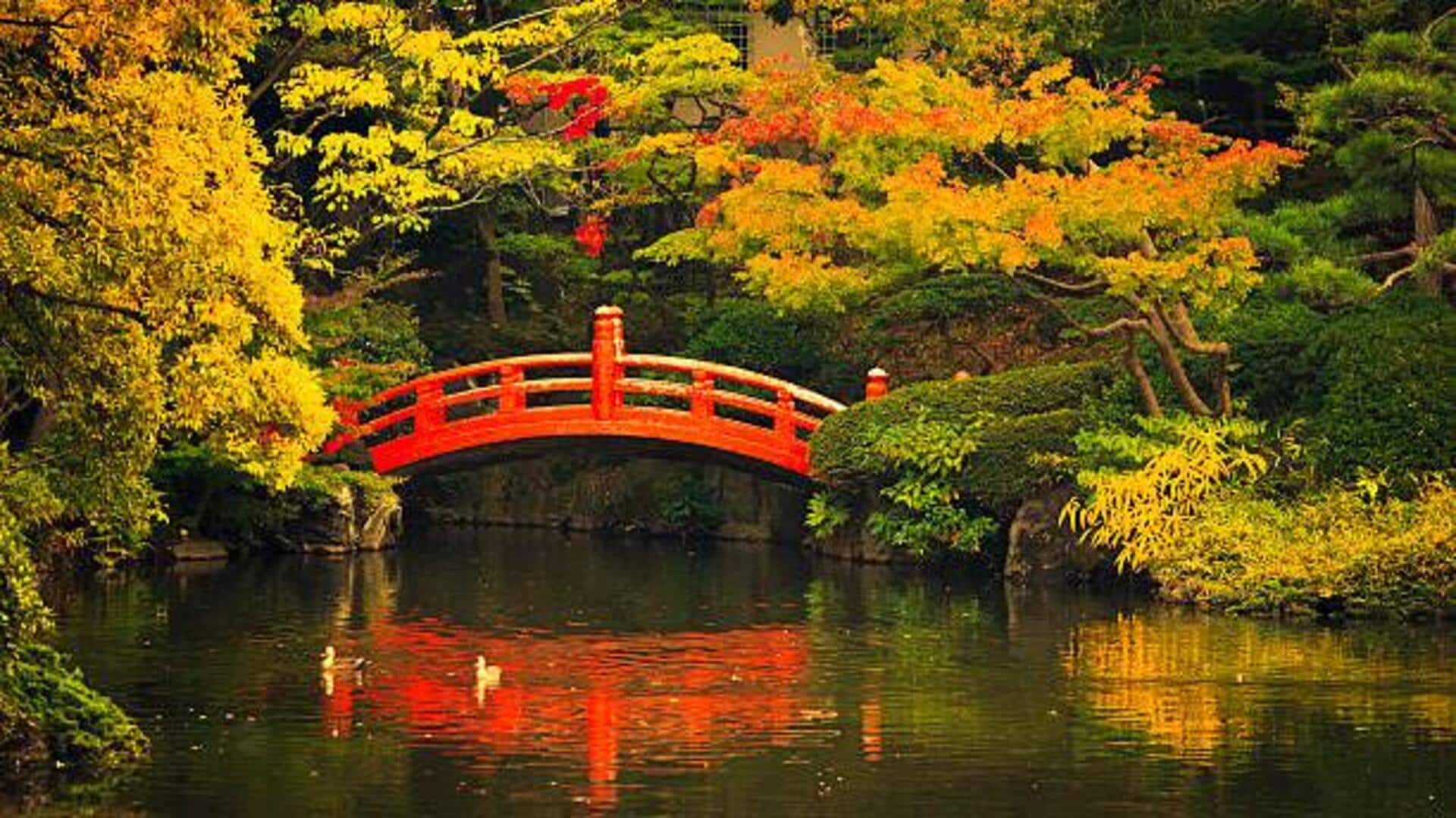 Tokyo's most peaceful gardens: A list Tokyo's most peaceful gardens: A list
