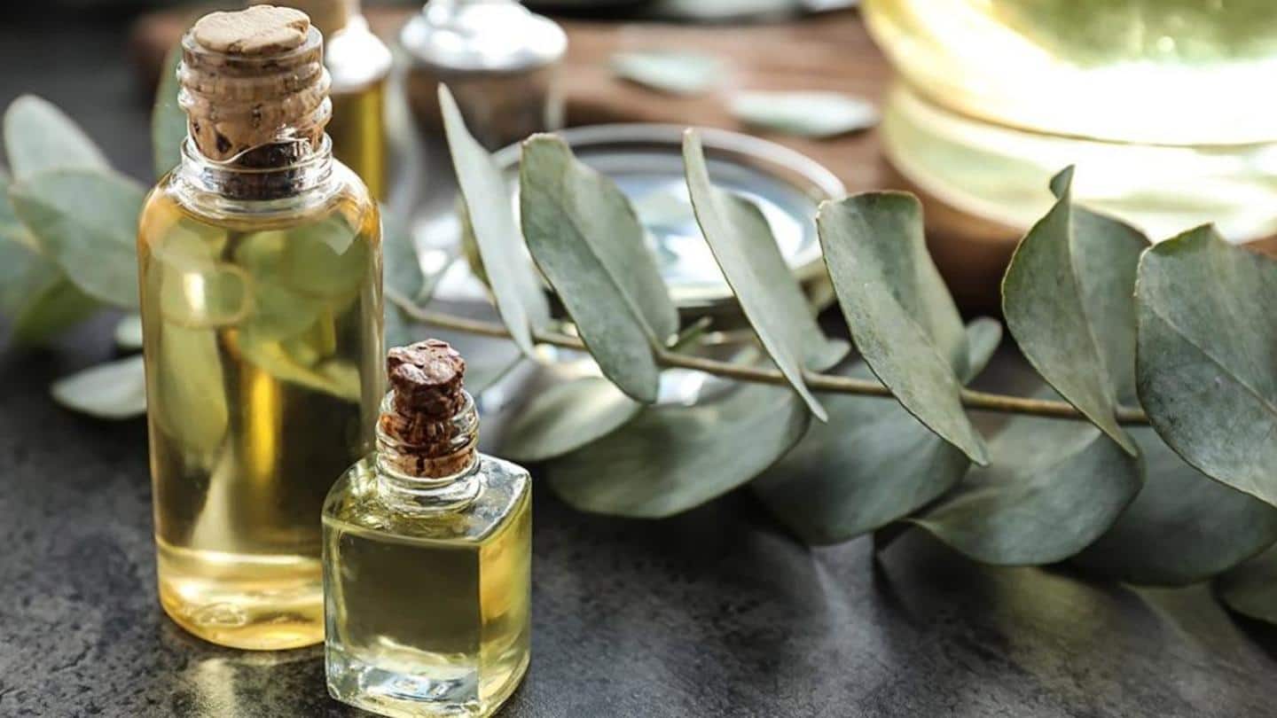 #HealthBytes: Here are the surprising health benefits of eucalyptus oil