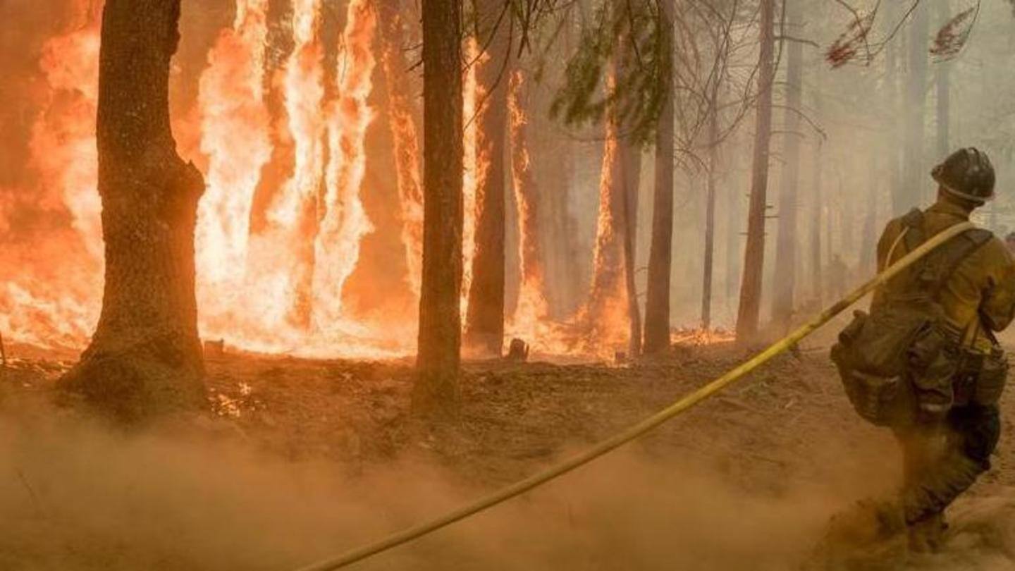 'Exceptionally dry and long fire season' expected 'Exceptionally dry and long fire season' expected