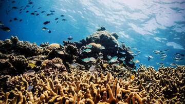 Australian PM pledges $703M more to protect Great Barrier Reef