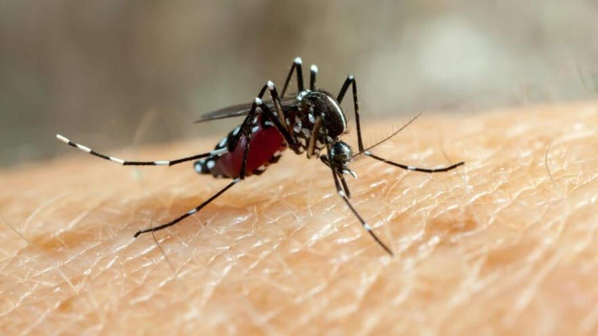 Dengue: Foods and drinks that help you recover faster