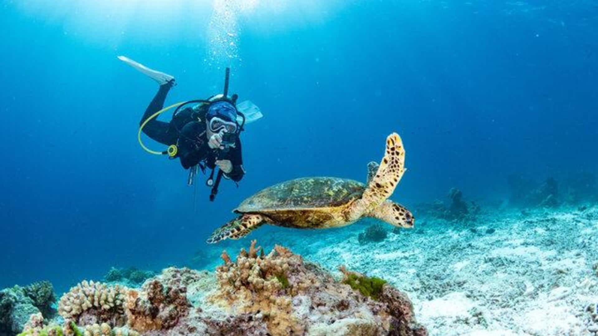 Where to find the best snorkeling spots Where to find the best snorkeling spots