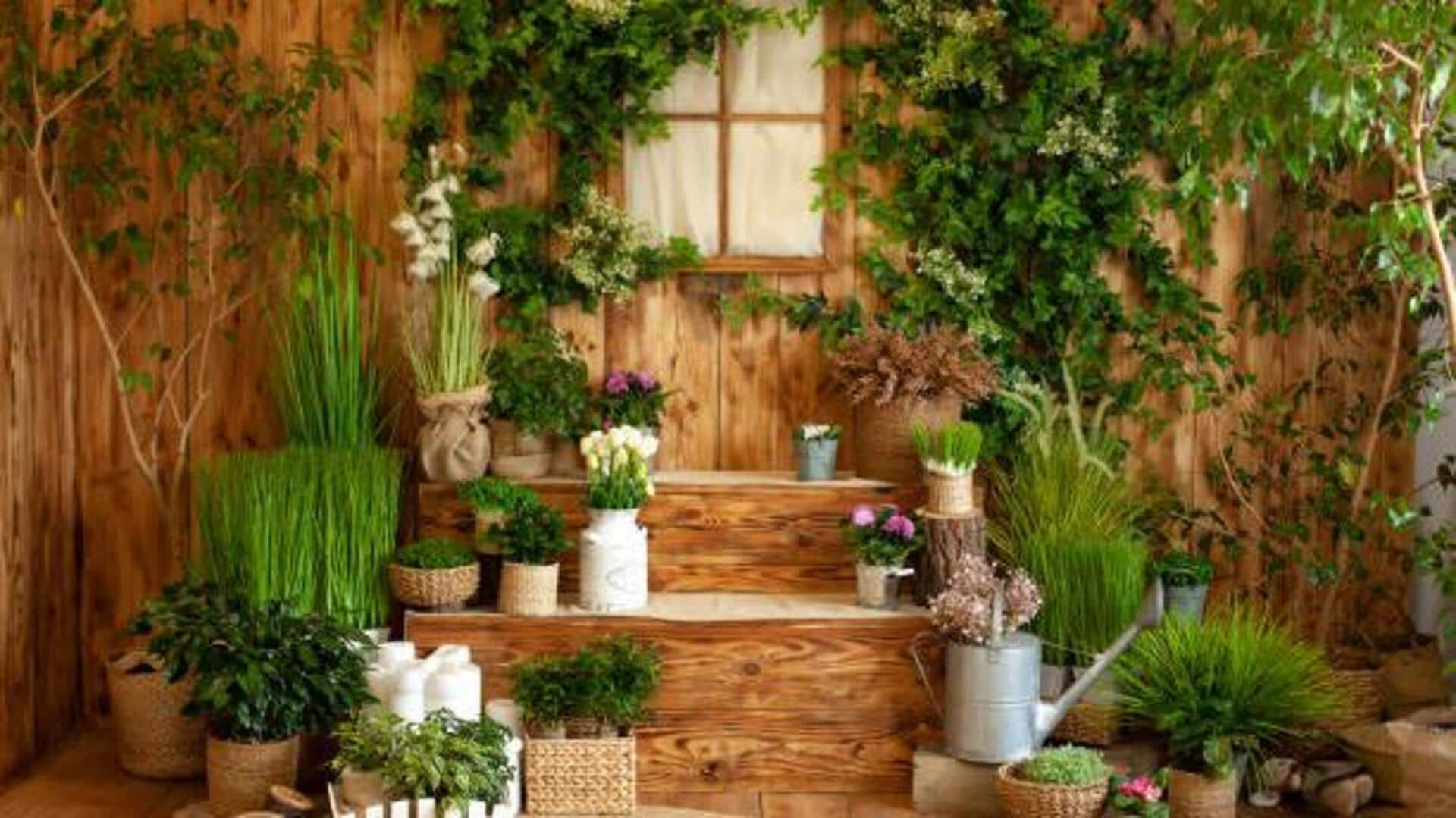 How to grow an indoor garden on a budget How to grow an indoor garden on a budget