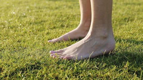 Earthing for emotional wellness: A beginner's guide 