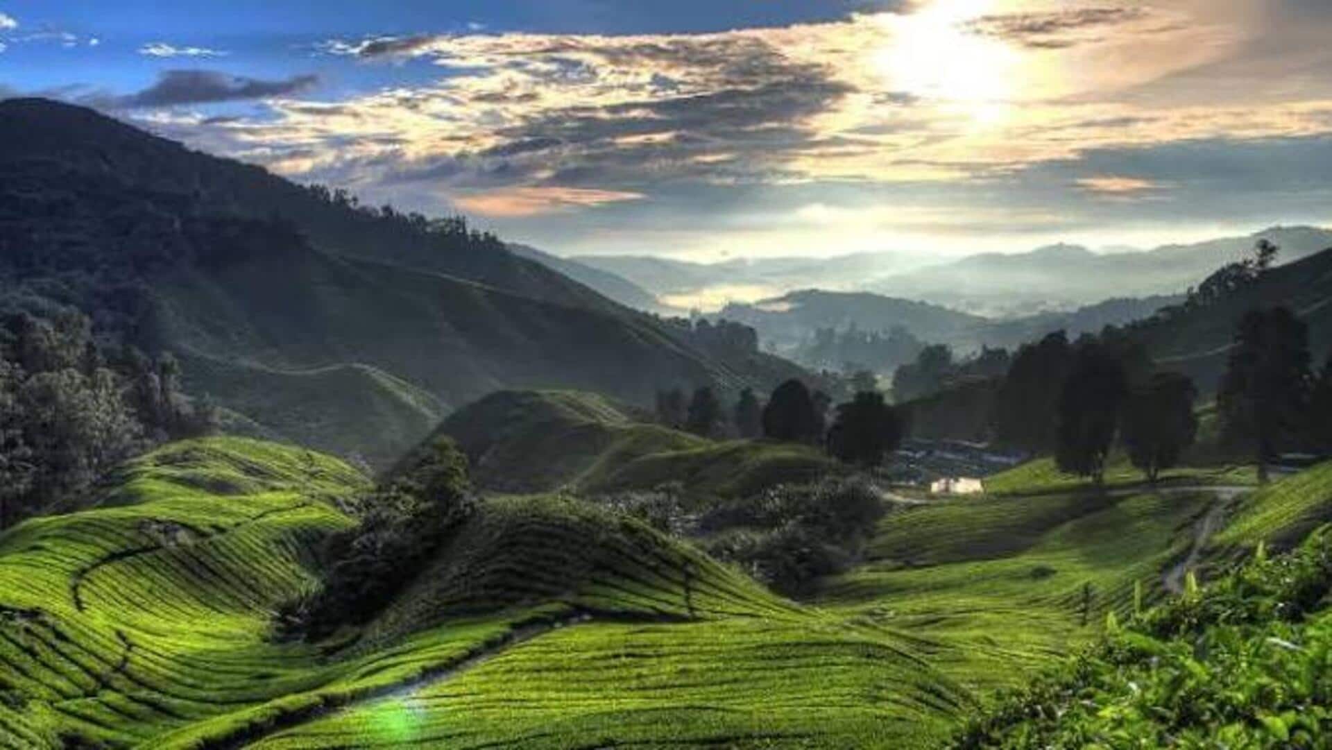 Cameroon Highlands: An underrated hiking spot
