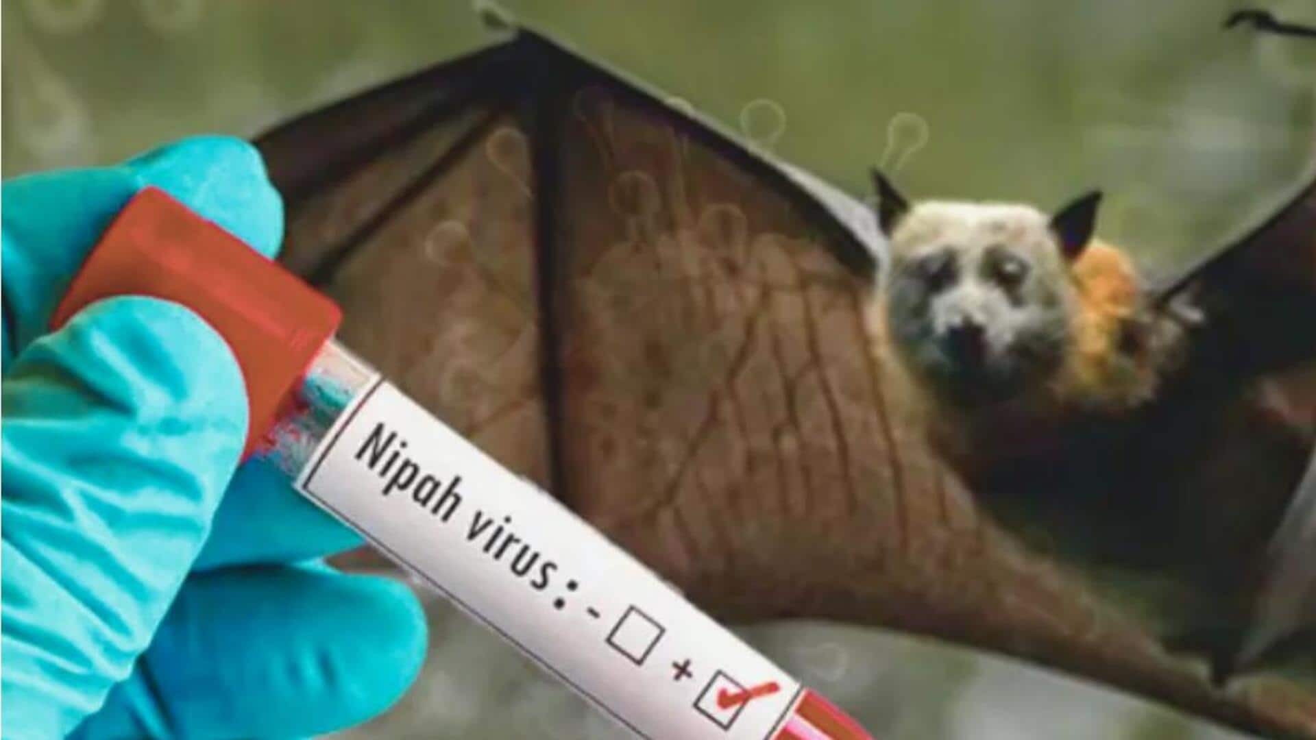 Kerala reports second Nipah virus death; 6 districts on alert Kerala reports second Nipah virus death; 6 districts on alert