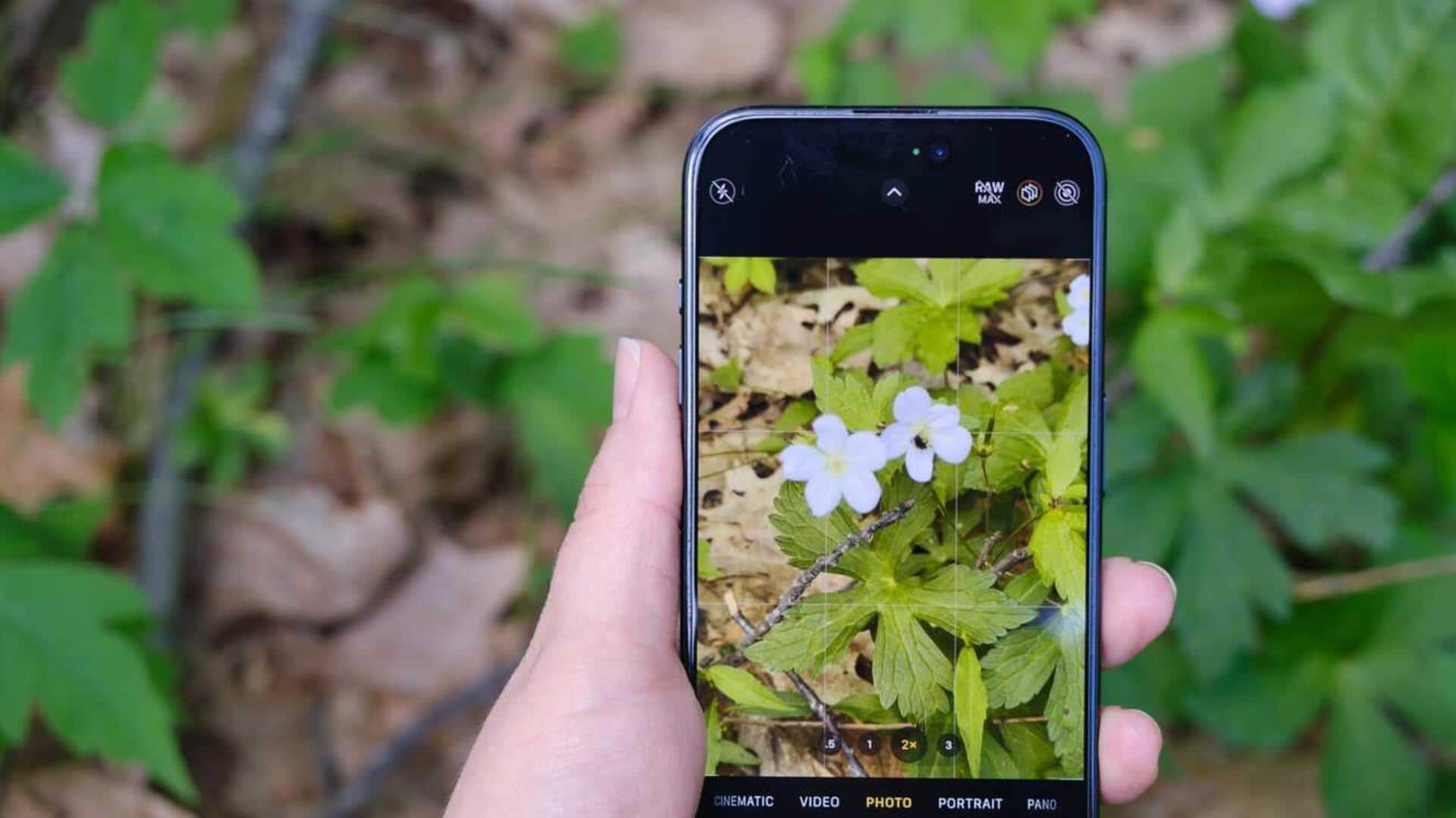 #TechBytes: How to use your smartphone to identify plants