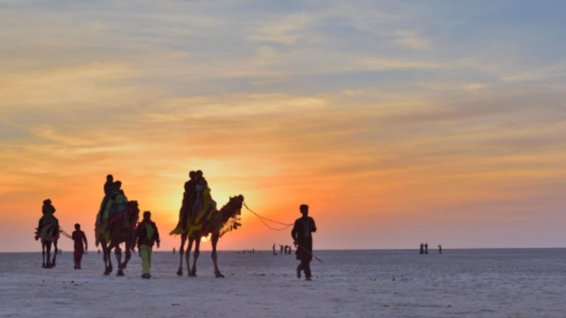 Fun things to do in Gujarat Fun things to do in Gujarat