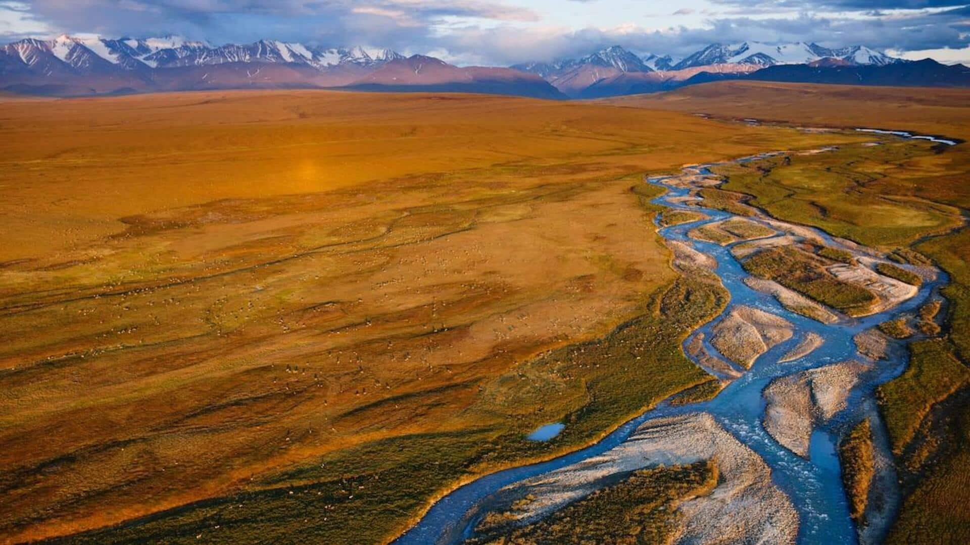 Midnight sun safari in Arctic Refuge, Alaska