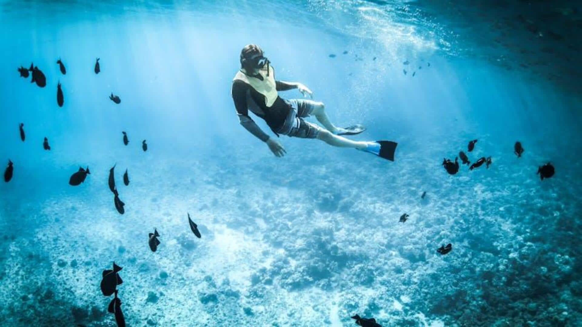 Snorkeling with whale sharks in Djibouti