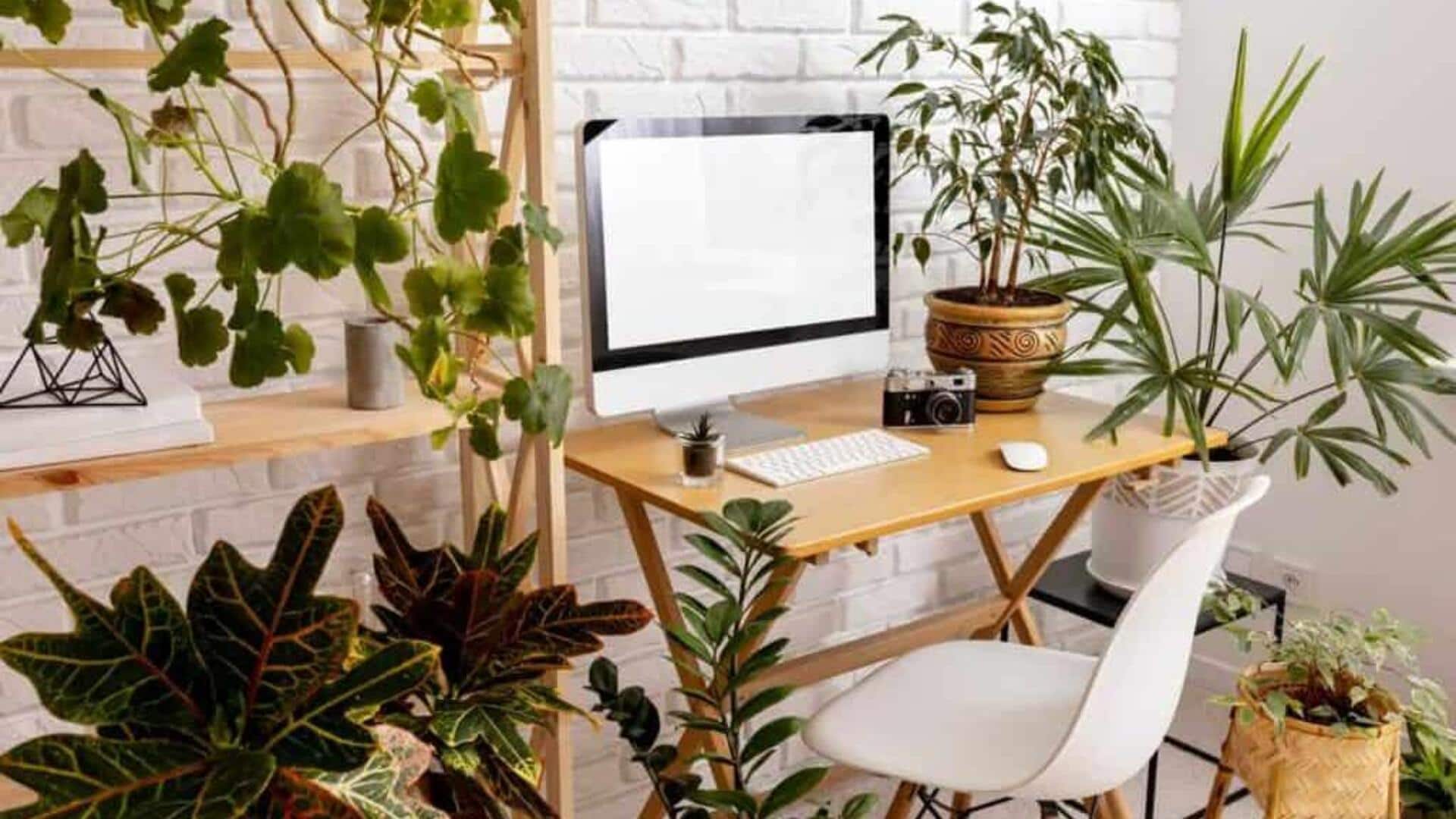 Workplace decor: Nature-inspired ideas to try Workplace decor: Nature-inspired ideas to try