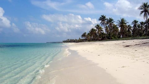 Dive into Lakshadweep's top 5 must-experience activities