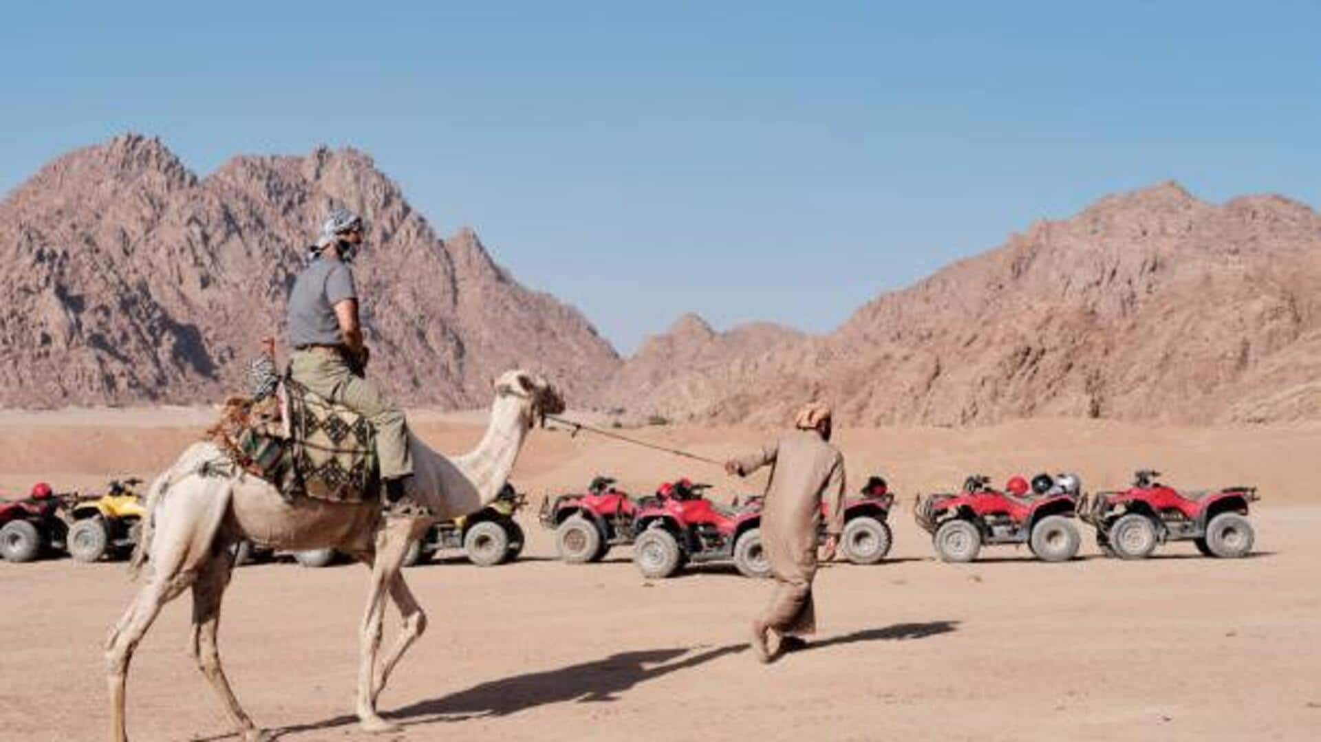 Namibia on camelback: A unique travel experience Namibia on camelback: A unique travel experience