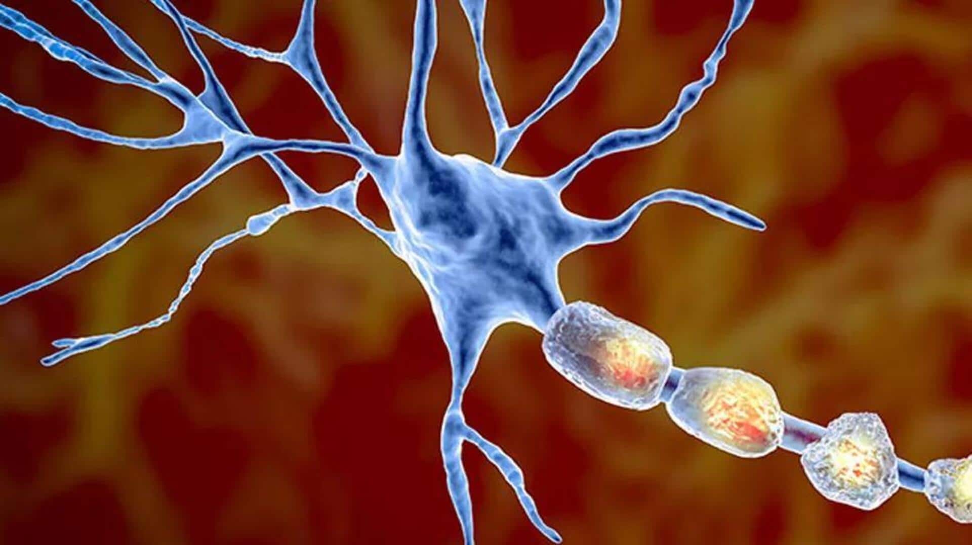 AI breakthrough might lead to better treatments for MS patients