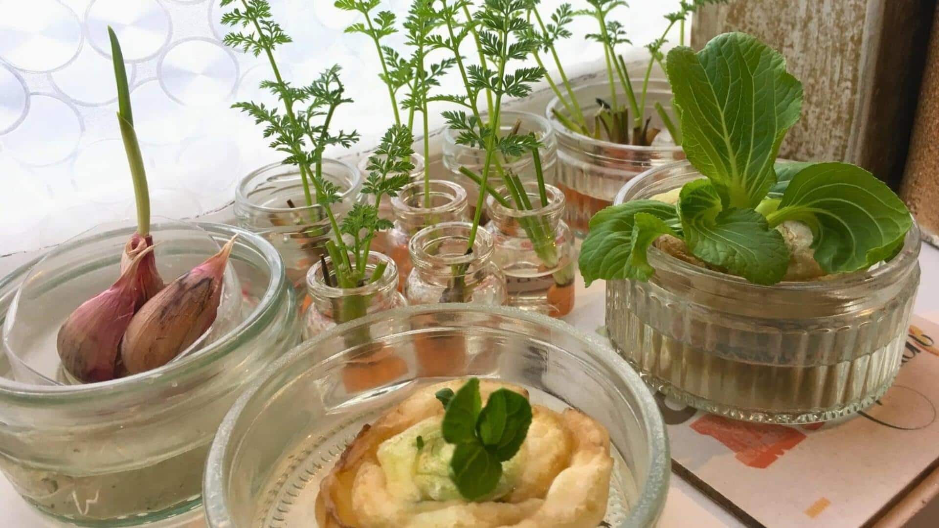 How to regrow vegetables from scraps at home
