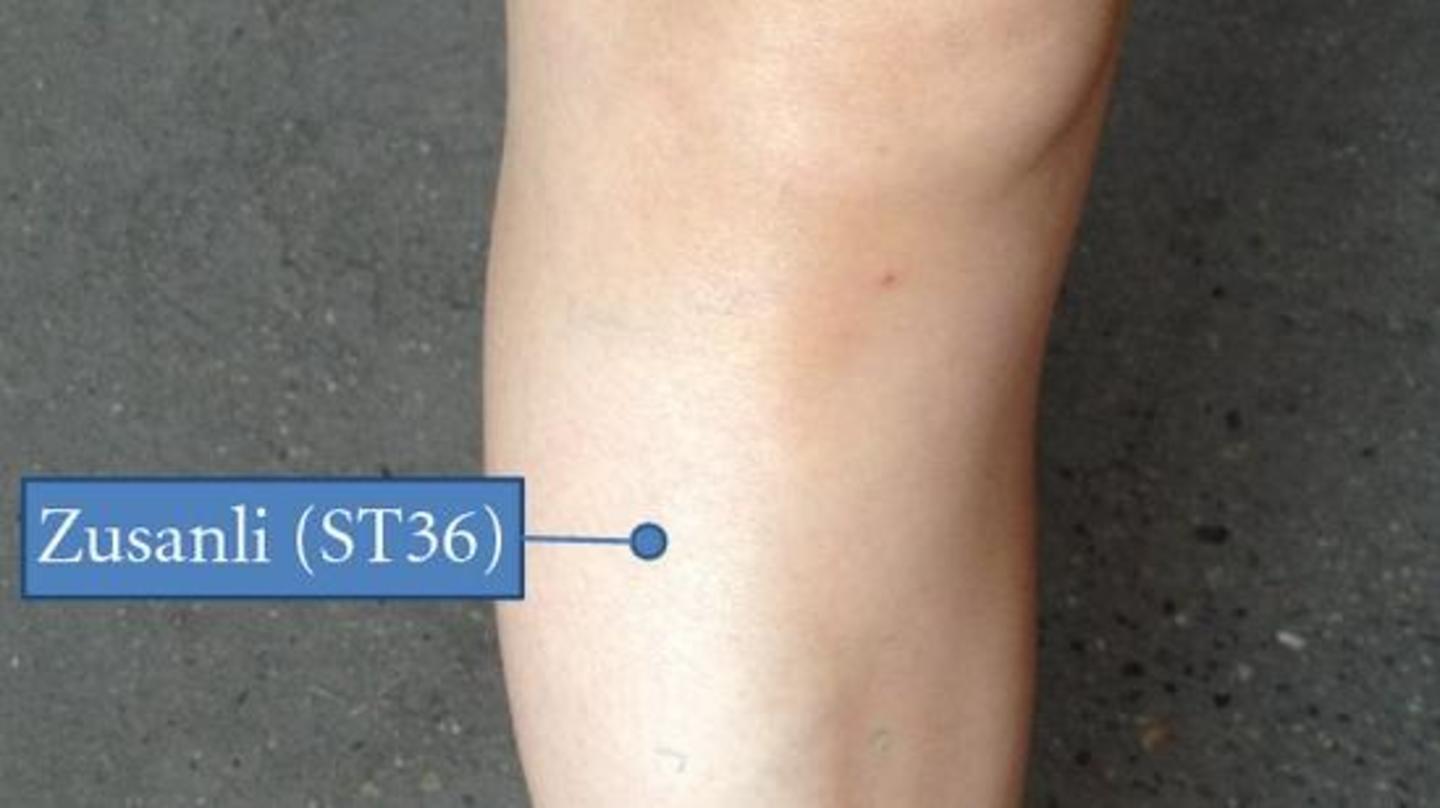 Zusanli or ST36: Located on the stomach meridian Zusanli or ST36: Located on the stomach meridian