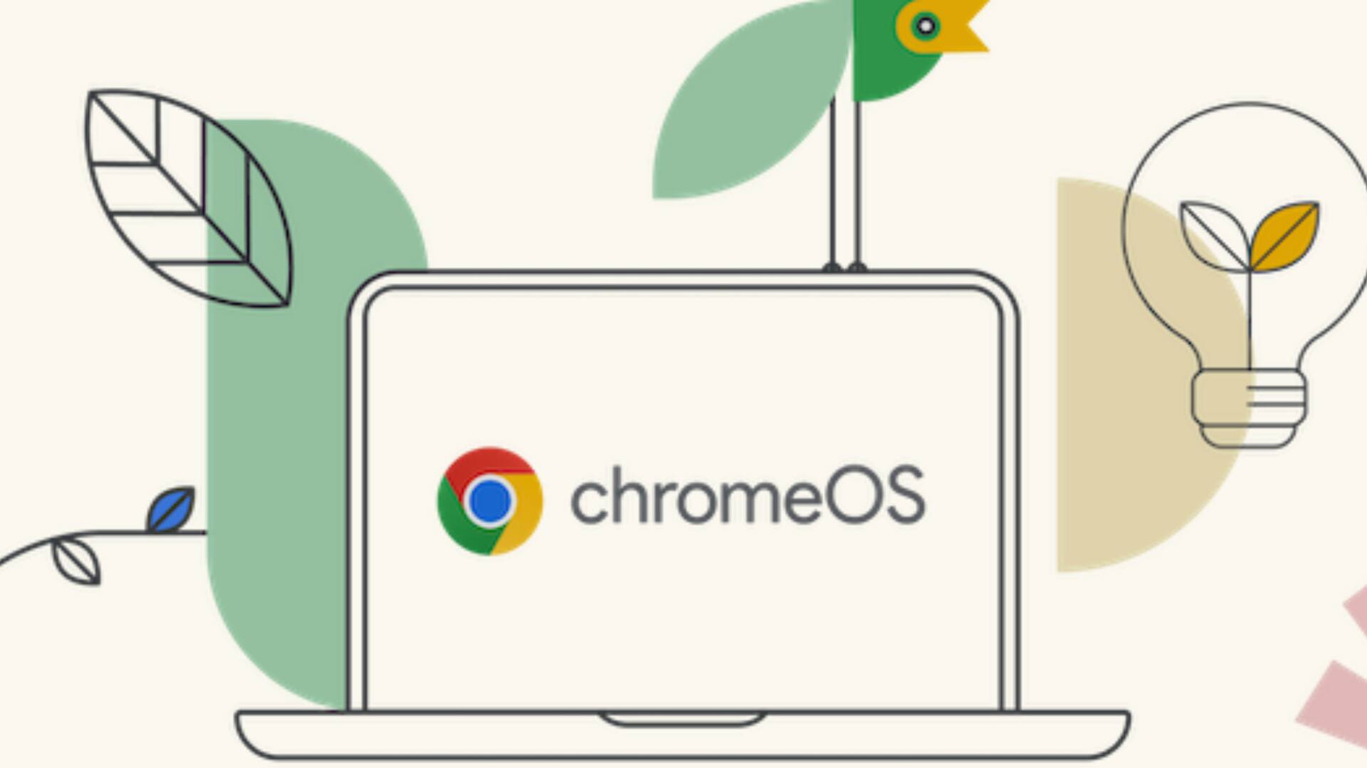 Google ChromeOS M117 update now available: Check new features