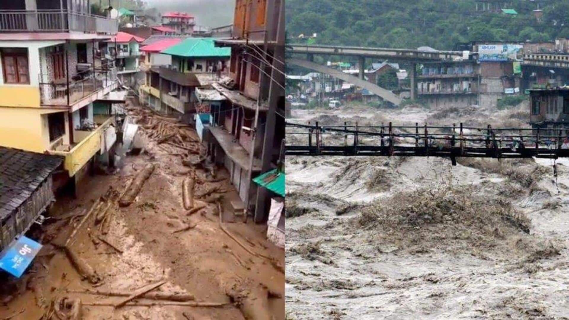 'Illegal tree felling happening': SC notice to Centre, flood-hit states 'Illegal tree felling happening': SC notice to Centre, flood-hit states