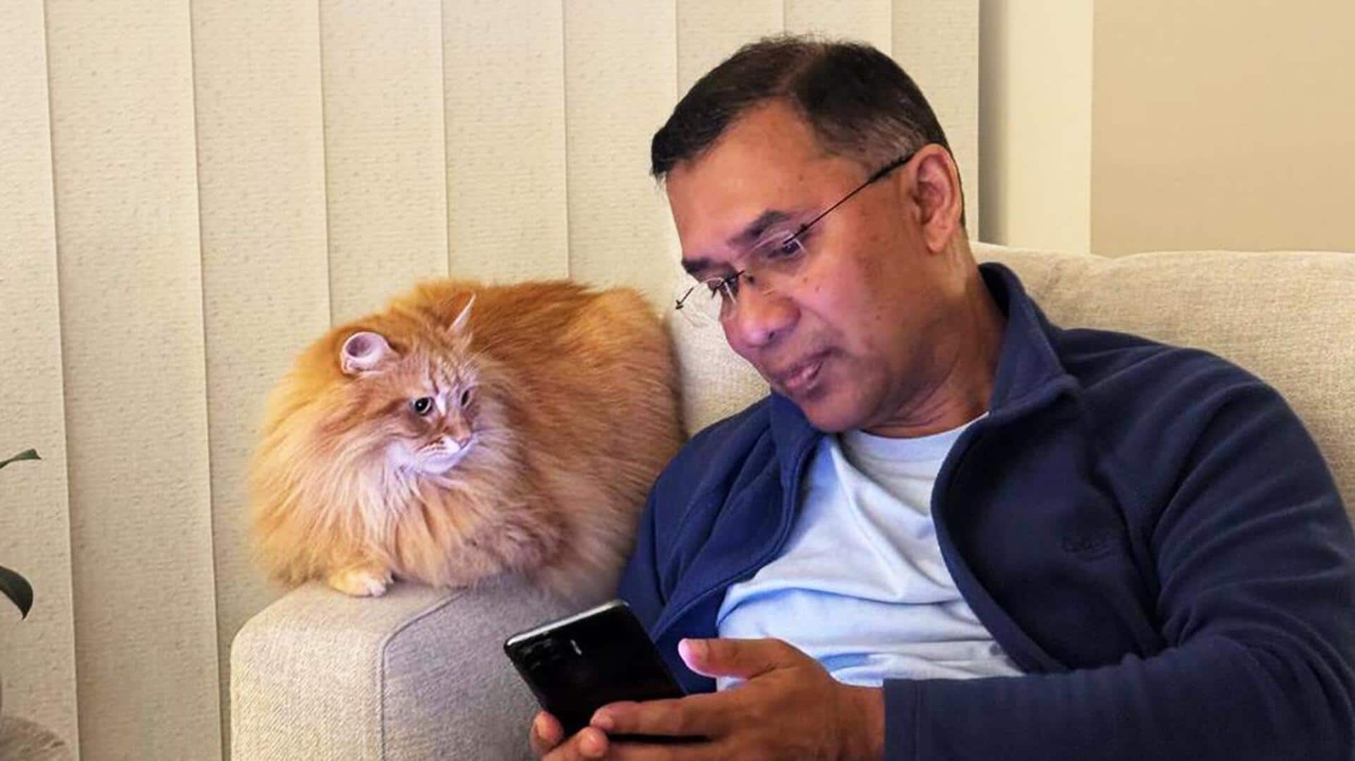 Meet Jebu, Tarique Rahman's cat who stole the show
