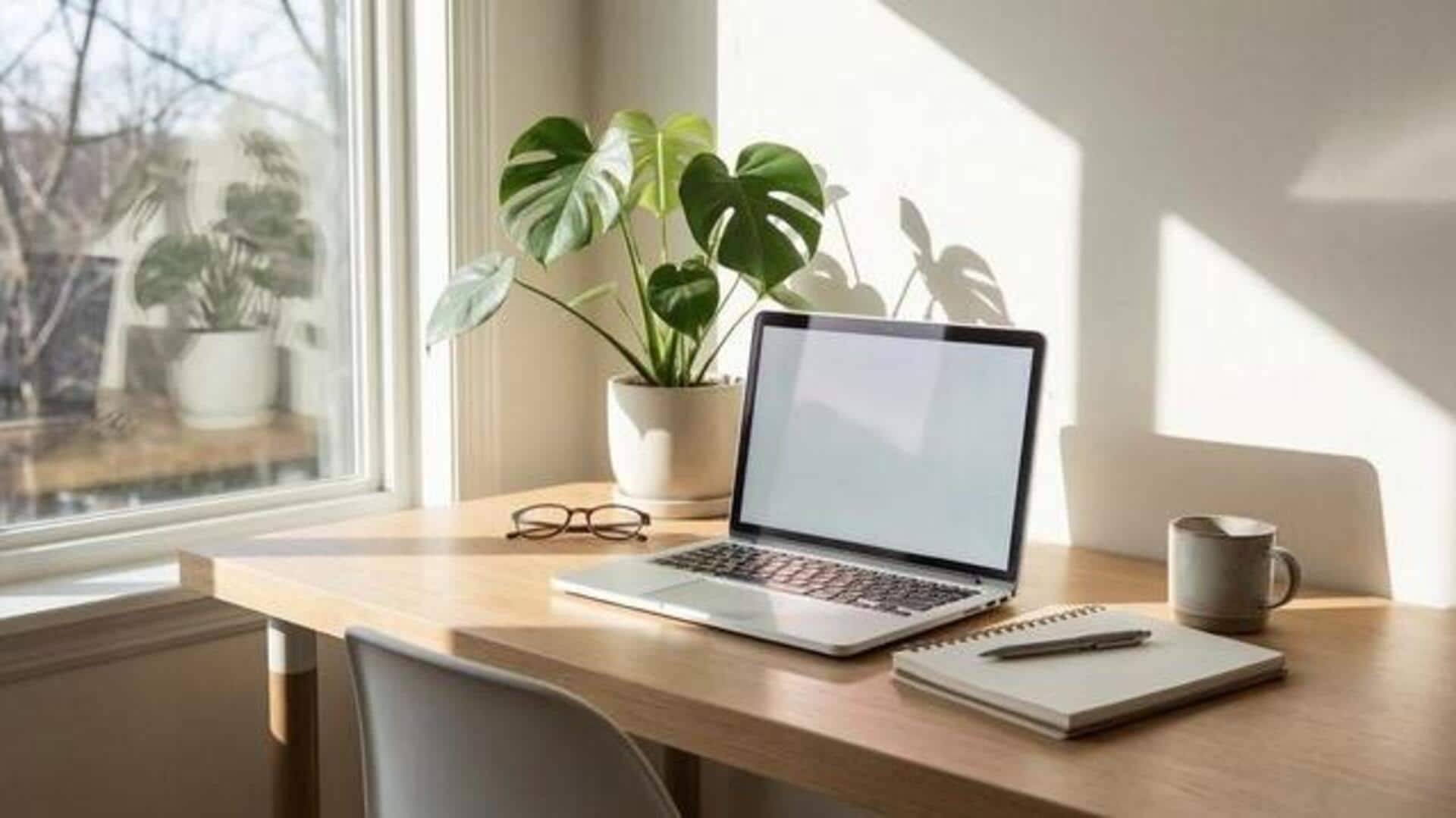 Secret to a productive workspace? It's a desk plant 