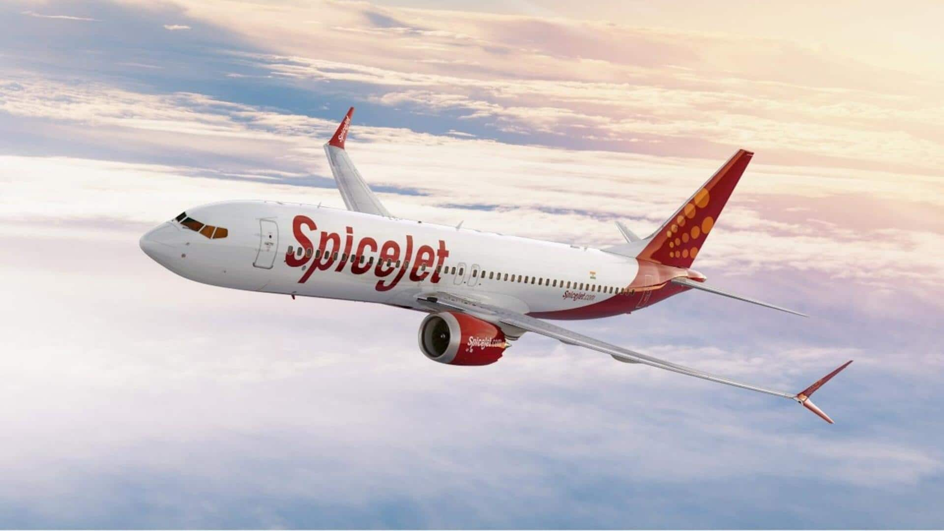 SpiceJet swings back to profit in Q3 FY25