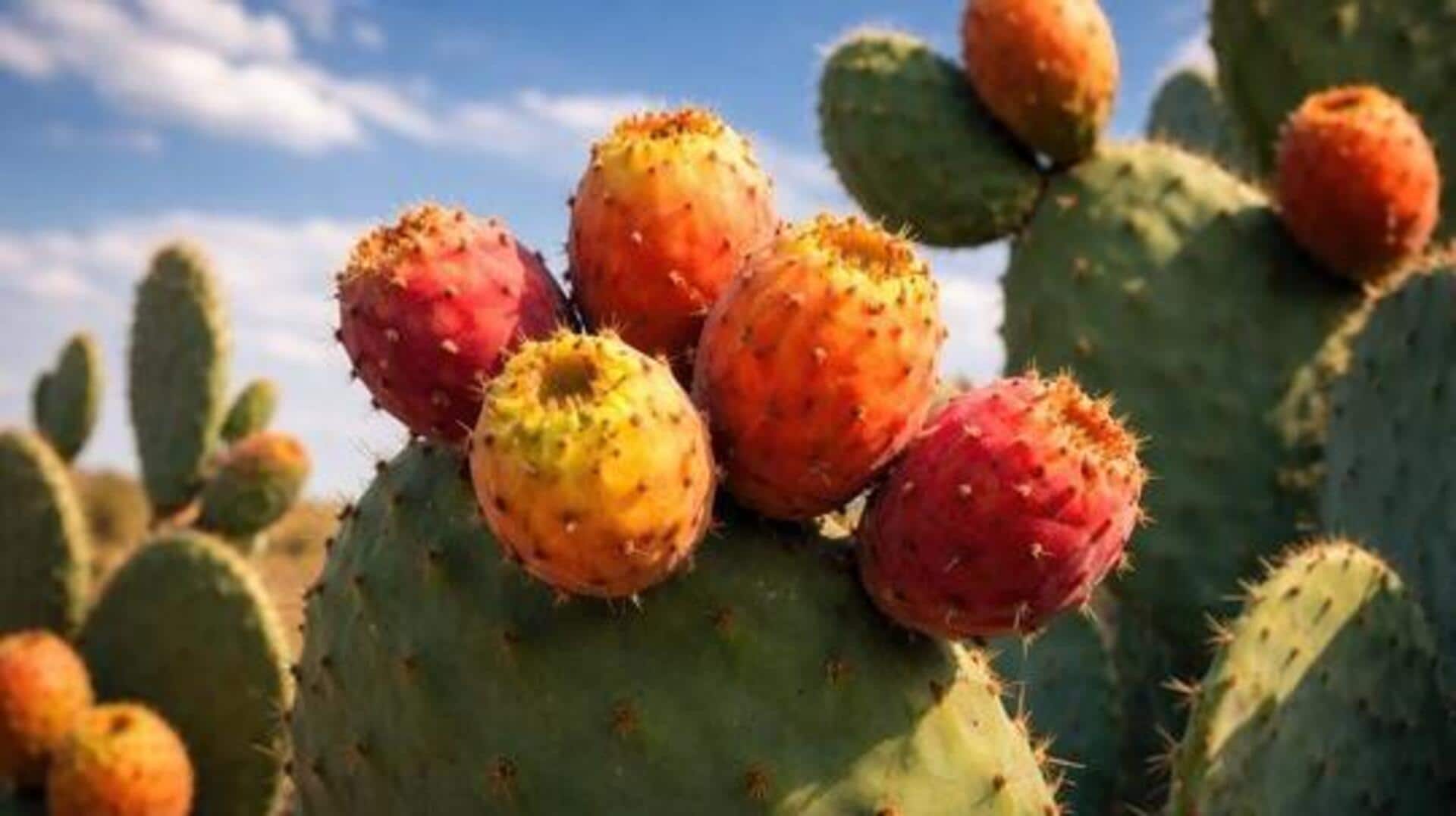 Prickly pear: A unique fruit packed with nutrients