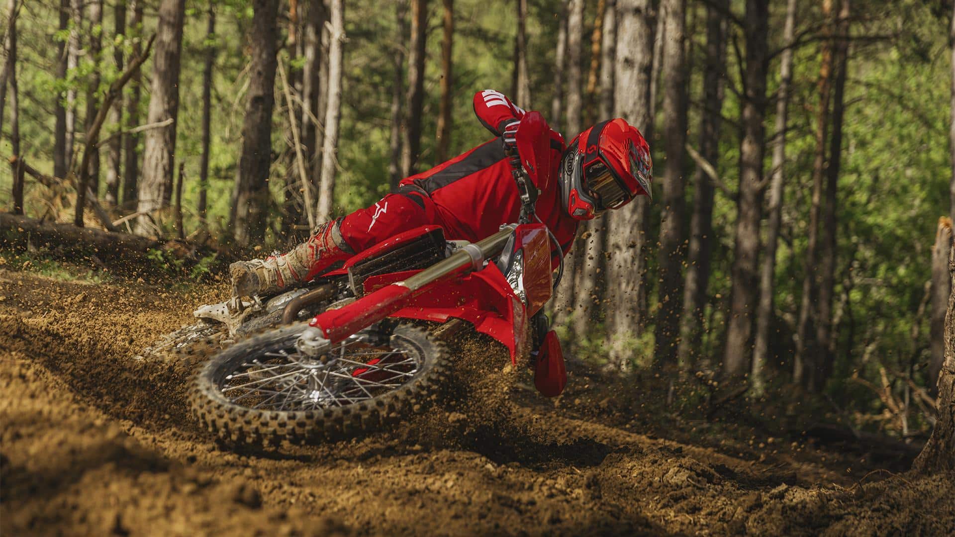 Meet Desmo450 EDS, Ducati's 1st street-legal off-road bike