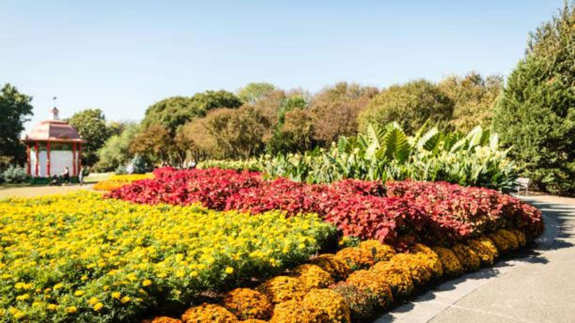 For nature enthusiasts: Must-see arboretums in Japan 