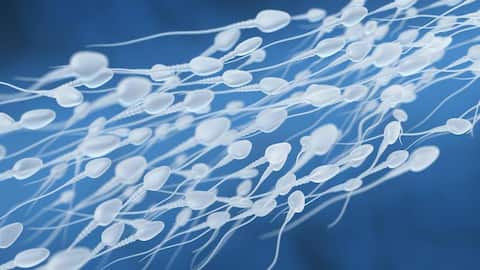 This scientific breakthrough is a solution for male infertility