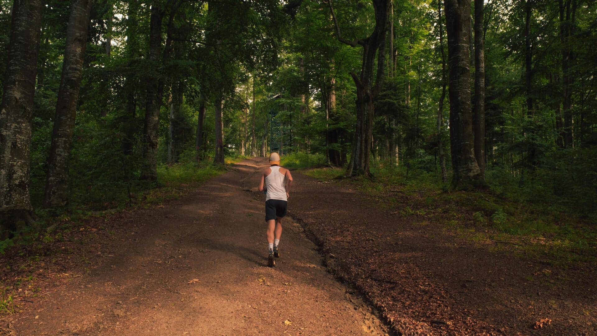 Why forest trail running is great for your health