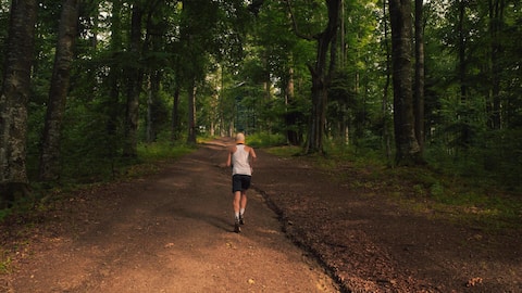 Why forest trail running is great for your health