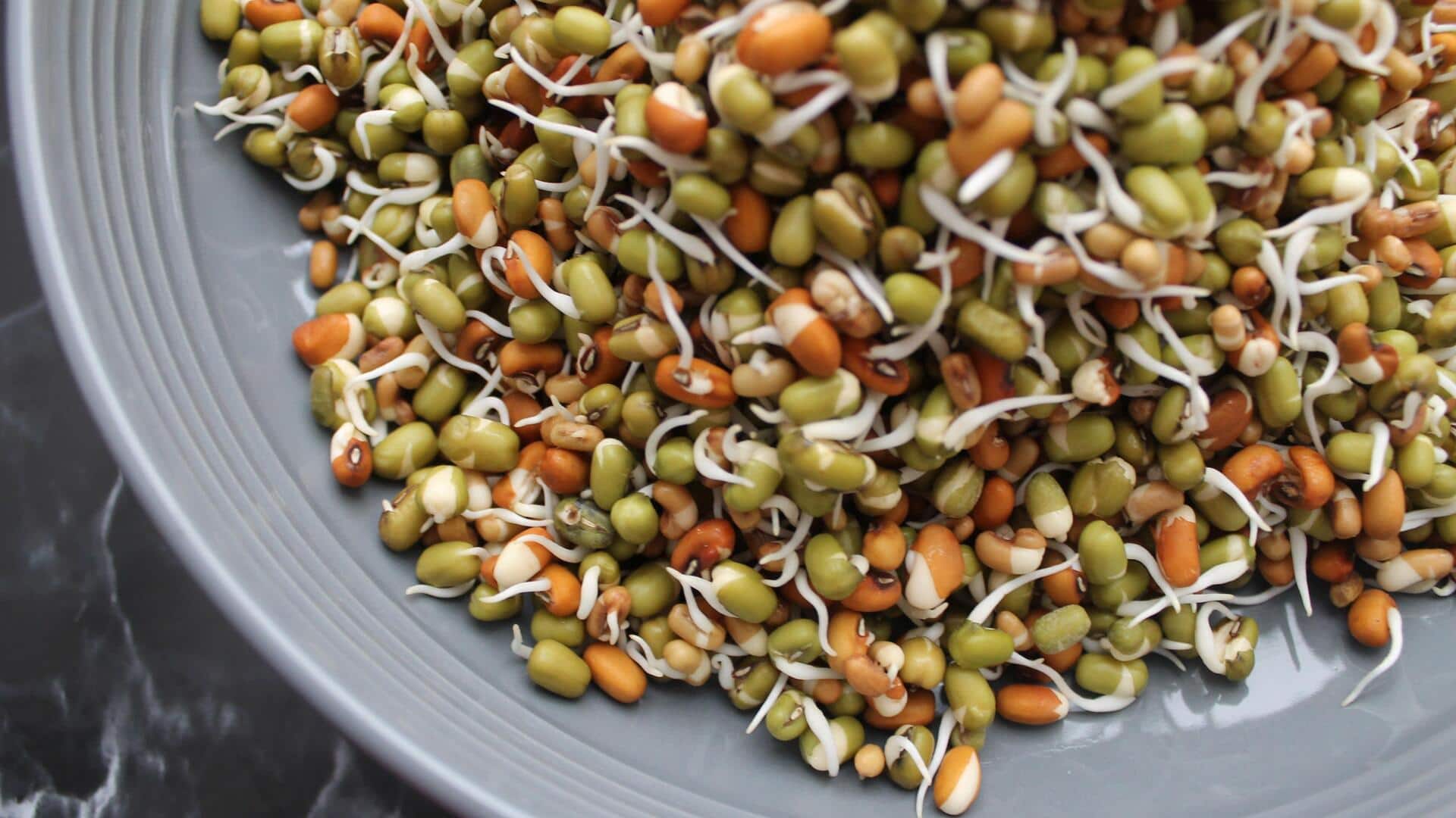 Lentil sprouts: The healthy addition every meal needs
