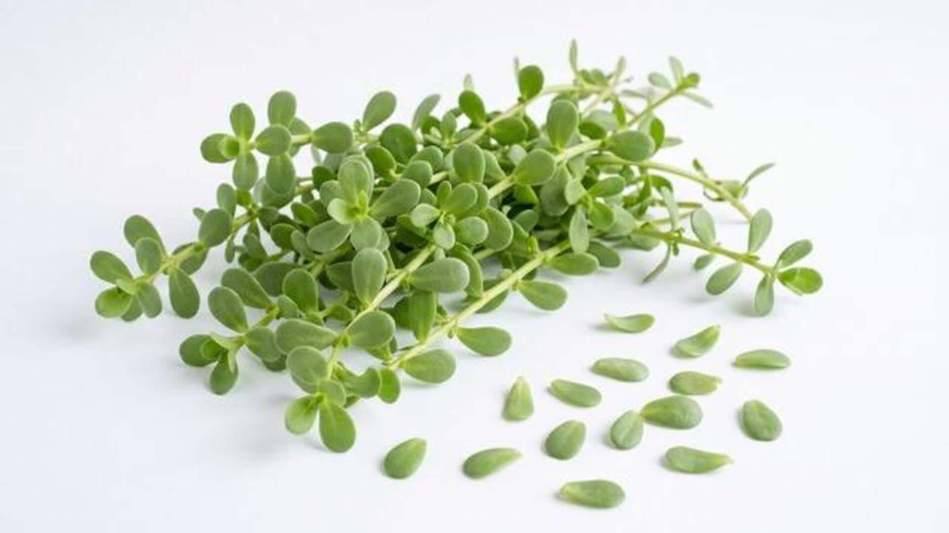 Add a tangy twist to your meals with purslane 