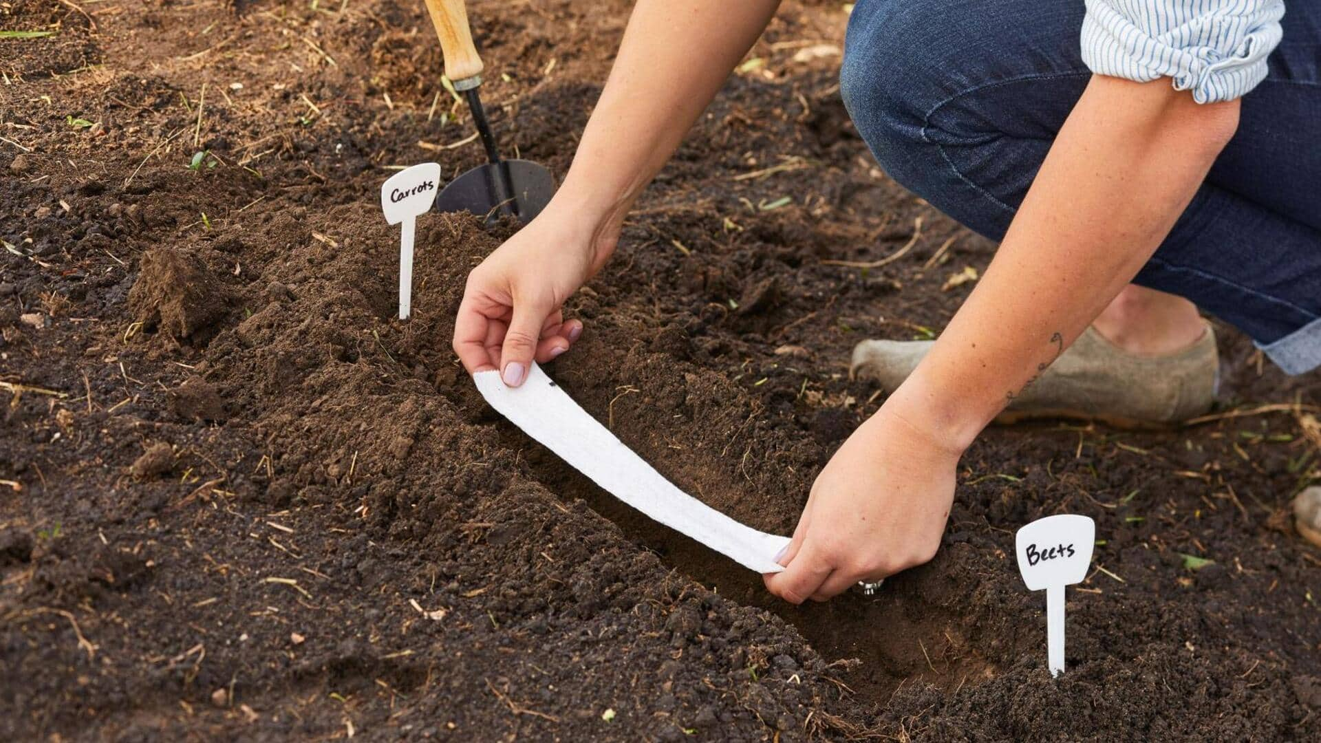 DIY: How to make budget-friendly seed tape for your garden