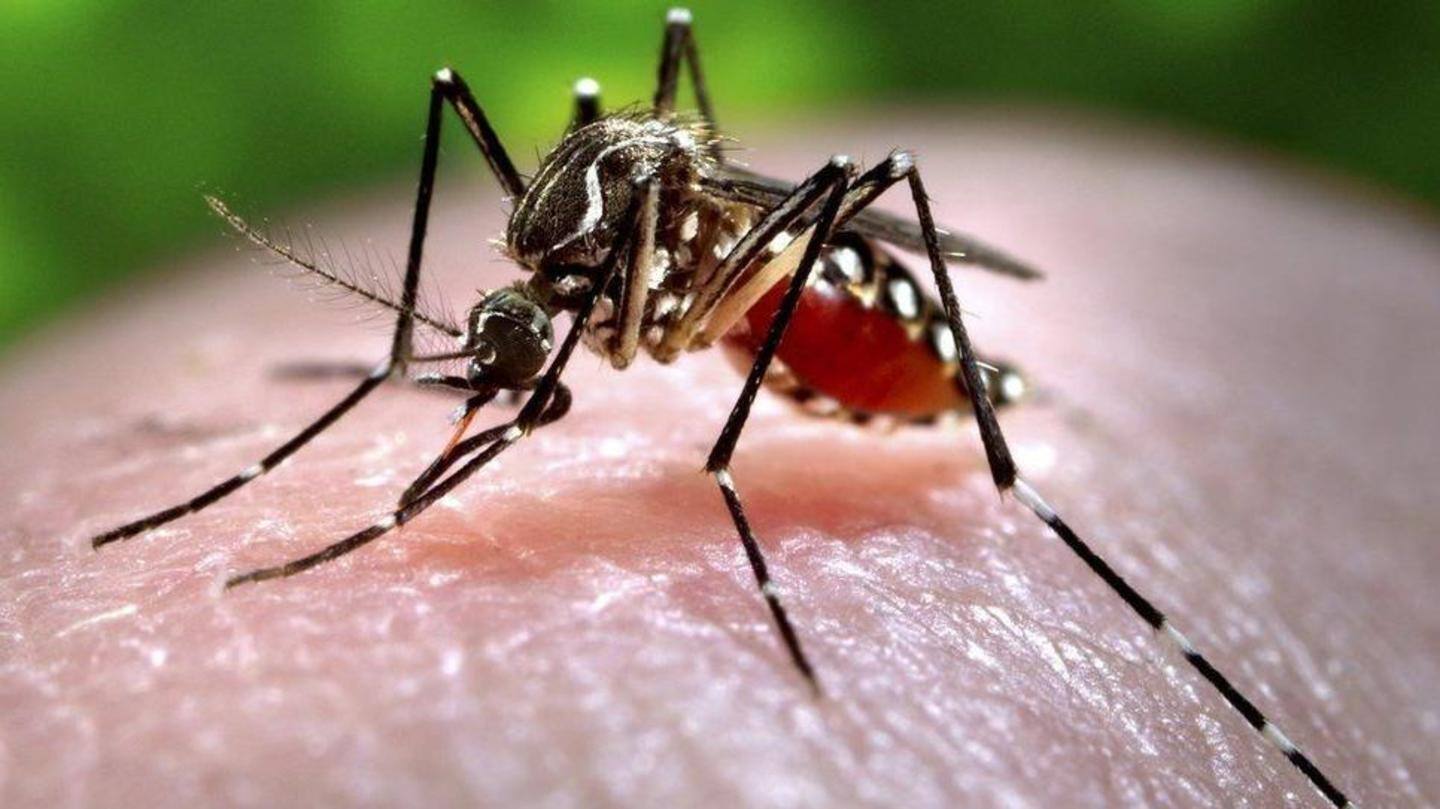 When and where did the Zika virus emerge? When and where did the Zika virus emerge?