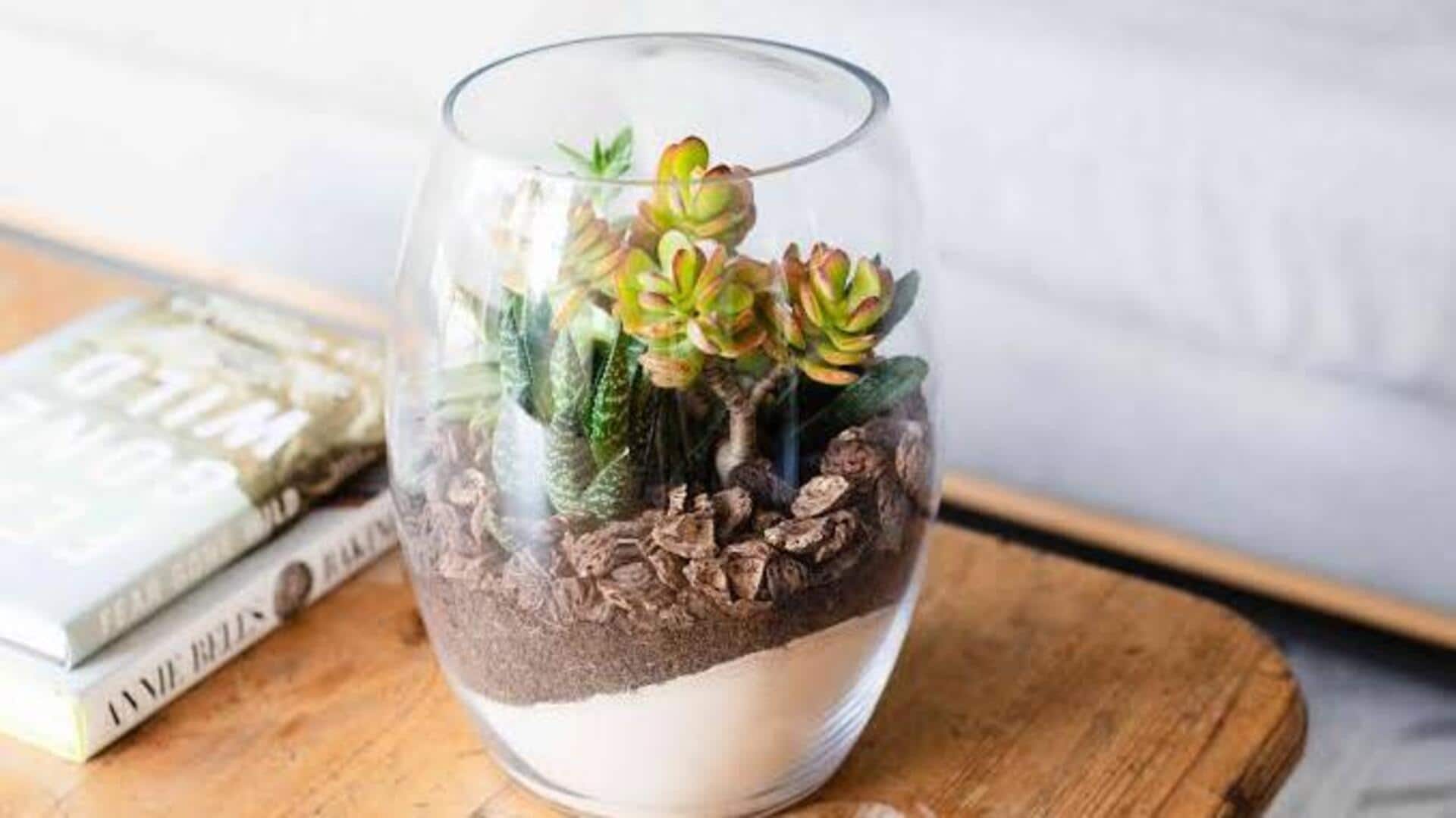 How to style your space with terrariums