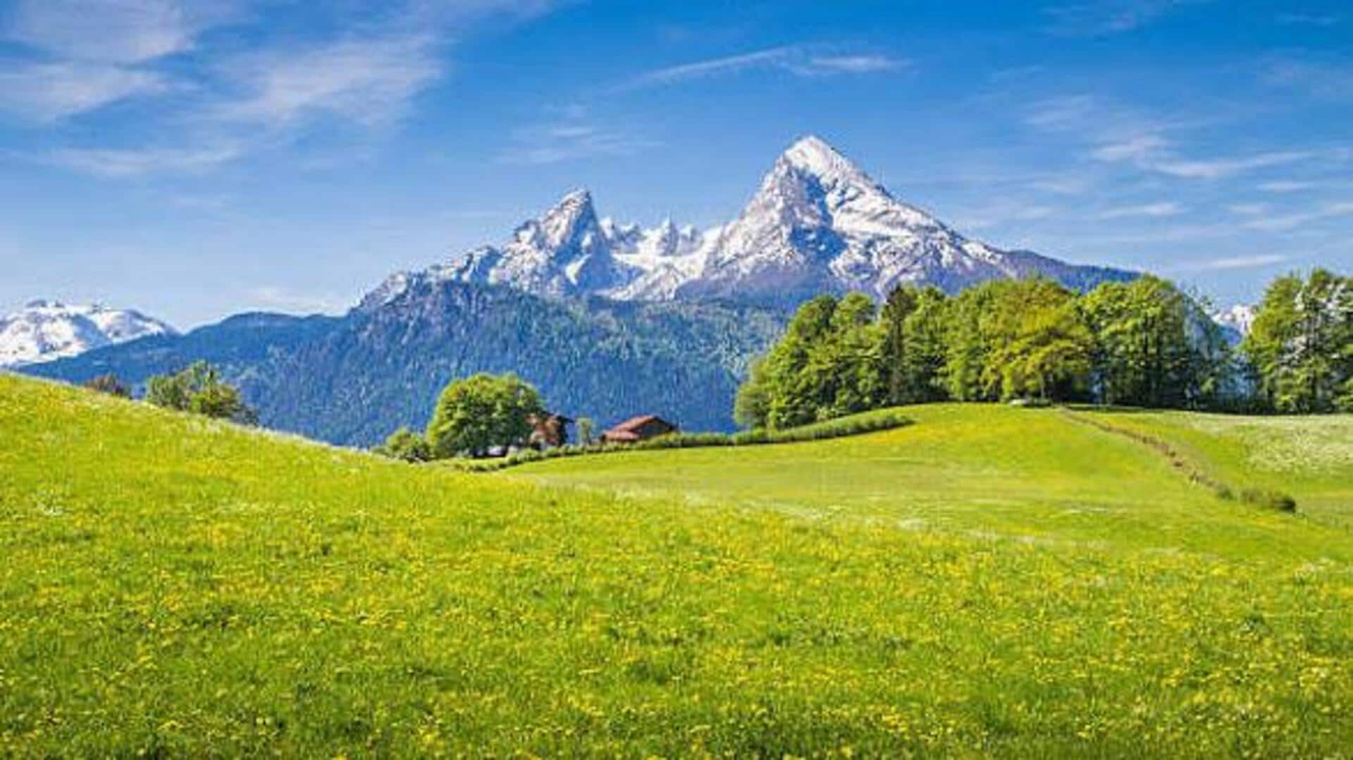 Add these alpine meadows to your Swiss itinerary 