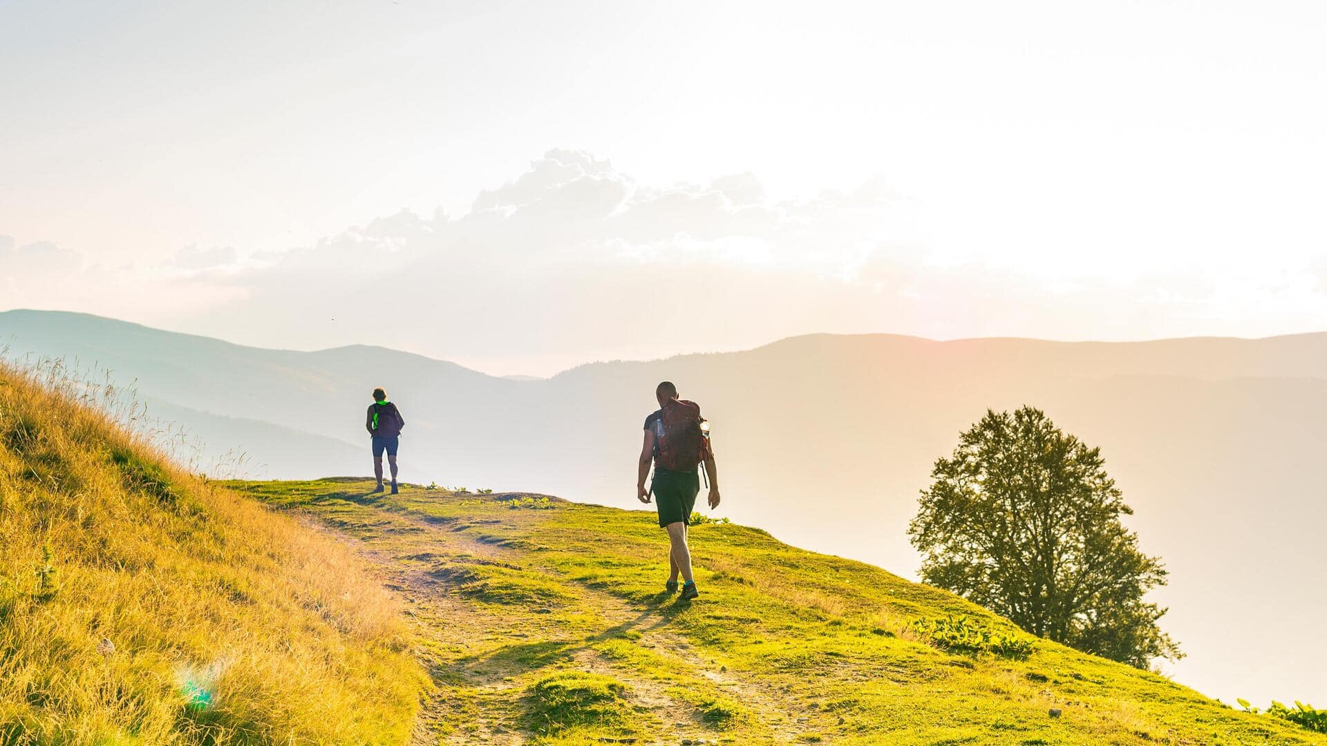 5 surprising health benefits of hill walking