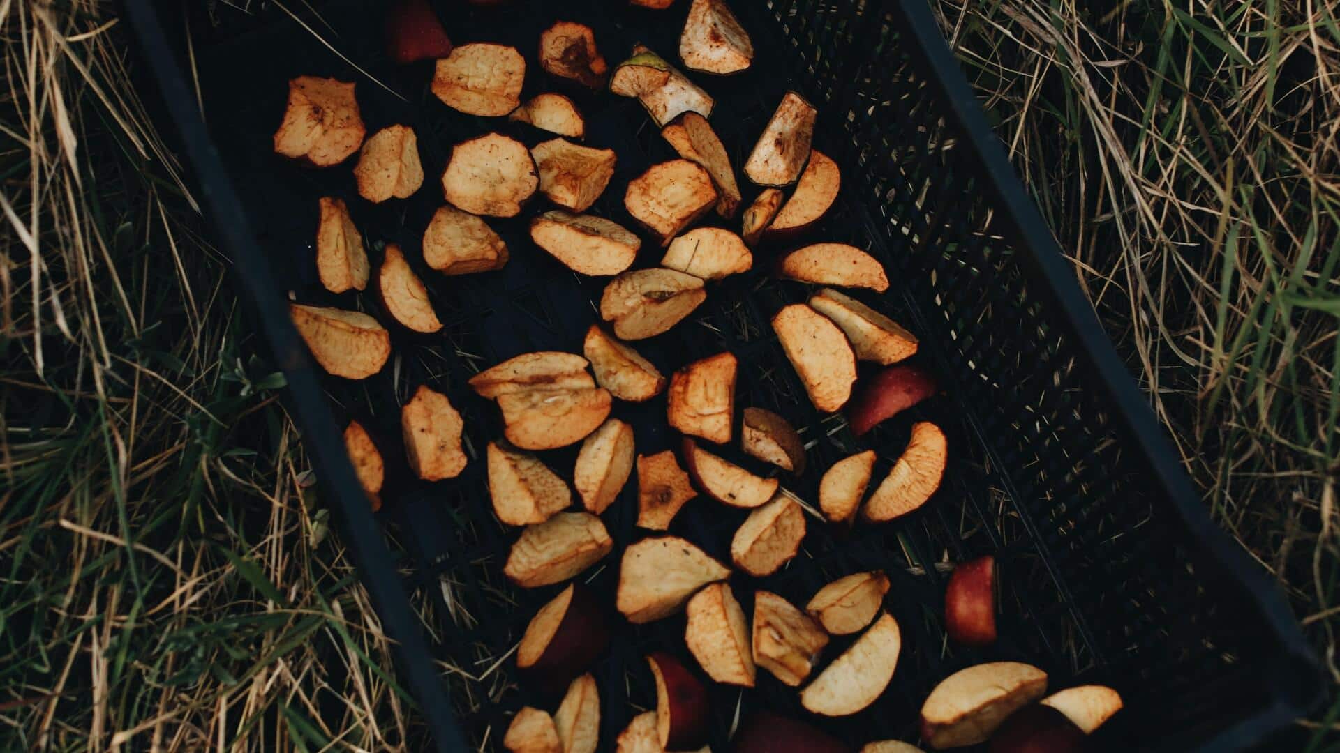 Sun-dried apple chips: The healthier swap for potato chips
