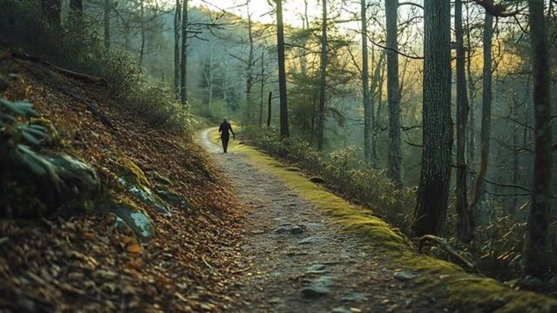 5 amazing benefits of mindful walking 5 amazing benefits of mindful walking