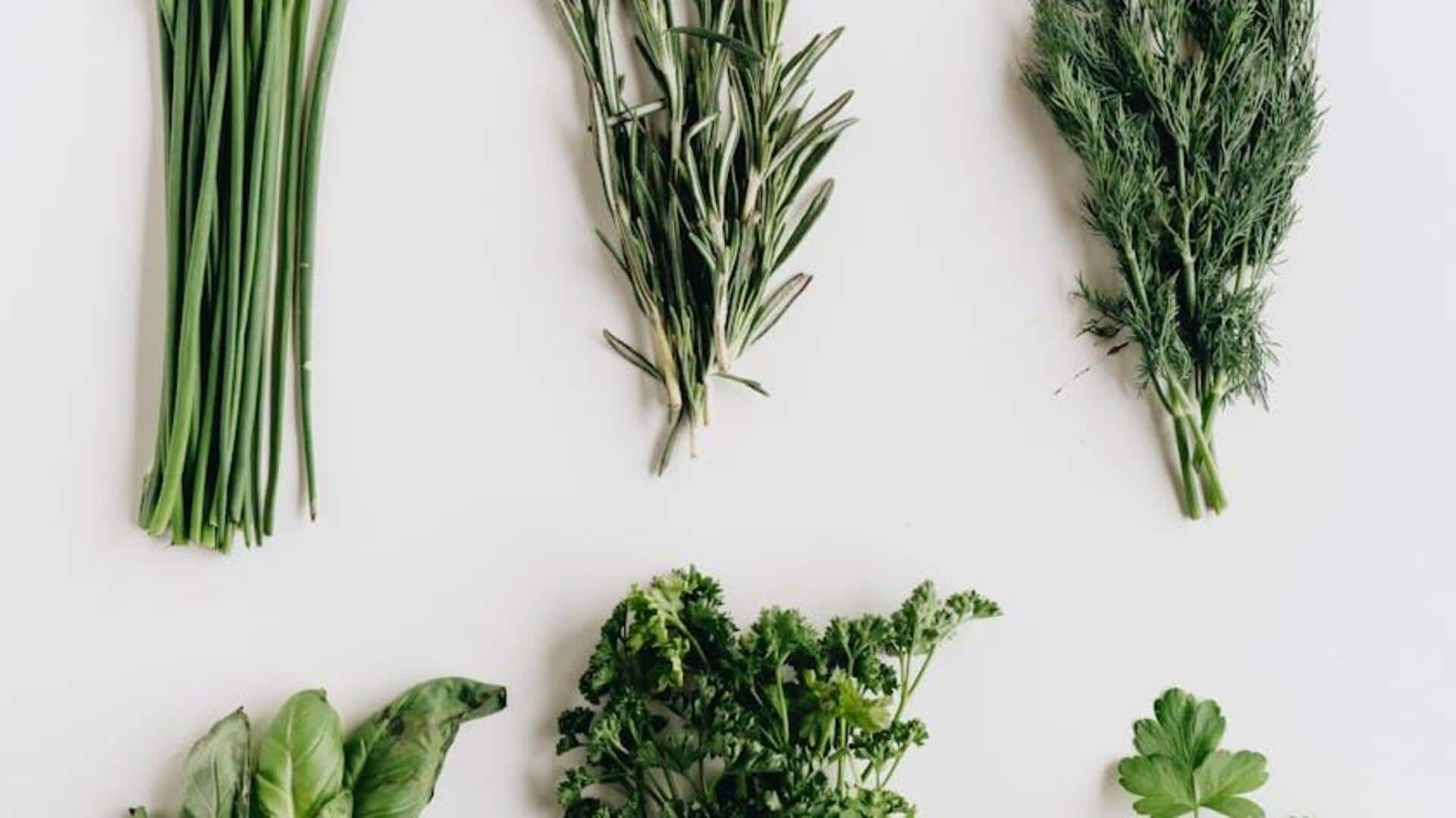 Add these herbs to your dishes for extra flavor