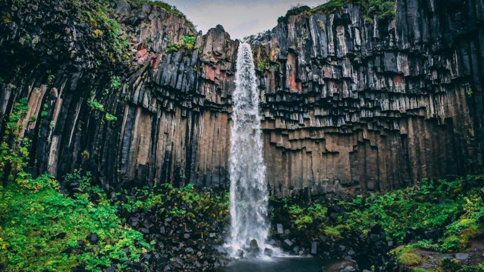 Your itinerary to the best of Uttarakhand's waterfalls Your itinerary to the best of Uttarakhand's waterfalls