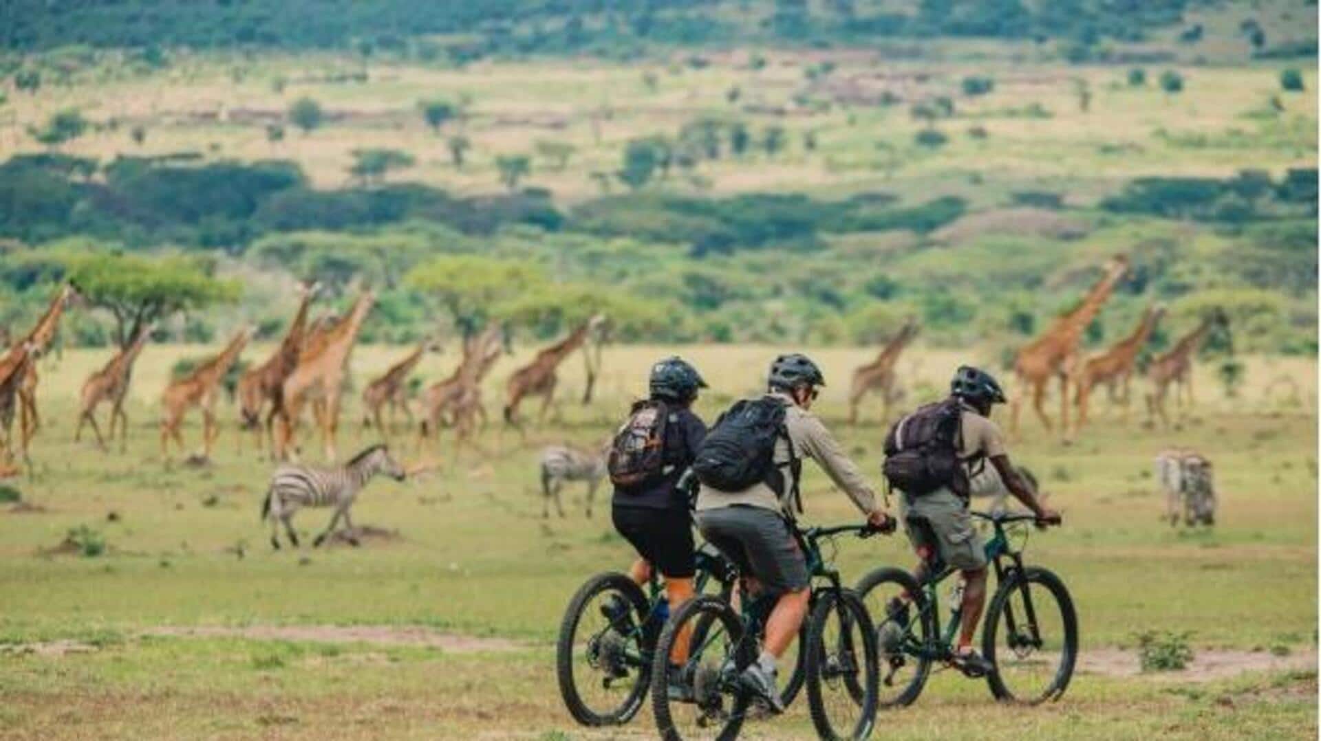 Cycling safari: The best way to experience wildlife