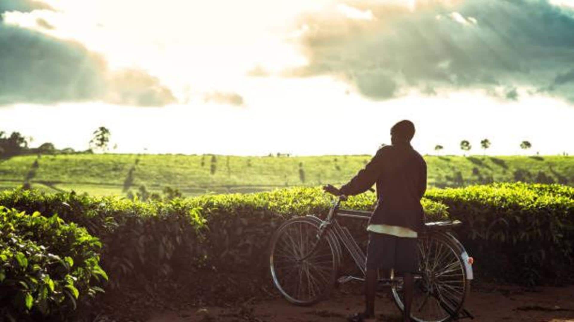 Southern India's most scenic cycling routes: A list Southern India's most scenic cycling routes: A list